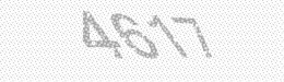 Visual security code — type the characters shown in the image